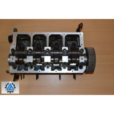 Головка блока Skoda Octavia 1.9 TDI 038103373R (Шкода Октавія, Шкода Октавіа)